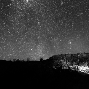 国外真人真事处破女
